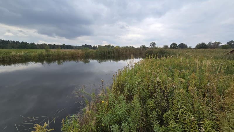 Zdjęcie 18