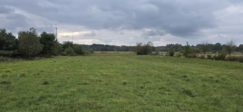 Zdjęcie 21