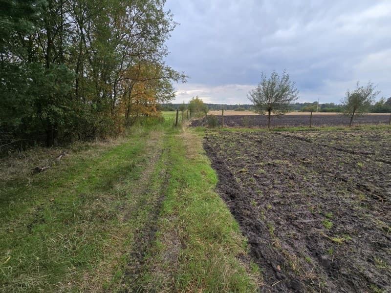 Zdjęcie 24