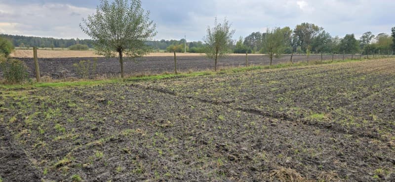 Zdjęcie 23