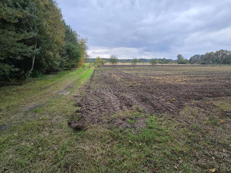 Zdjęcie 26