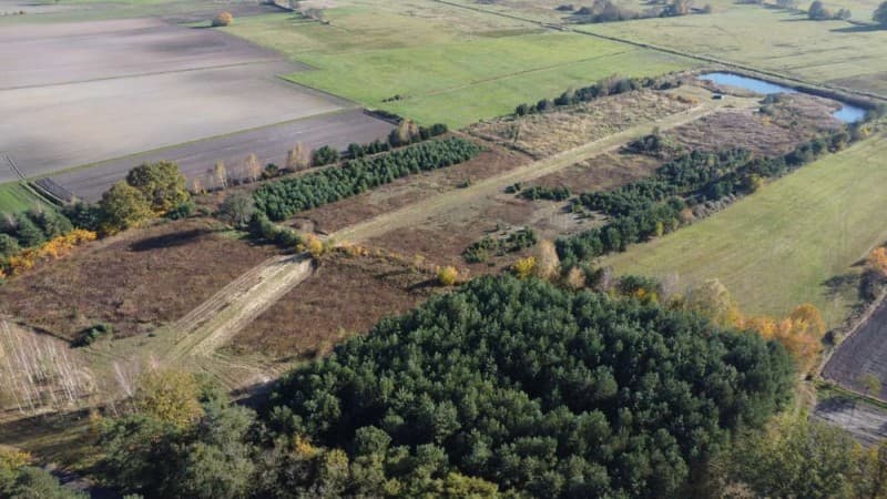 Zdjęcie 31