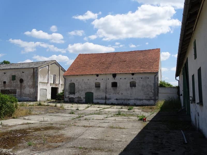 Zdjęcie 9