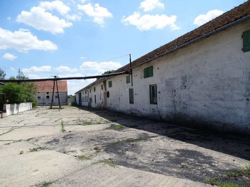 Zdjęcie 6