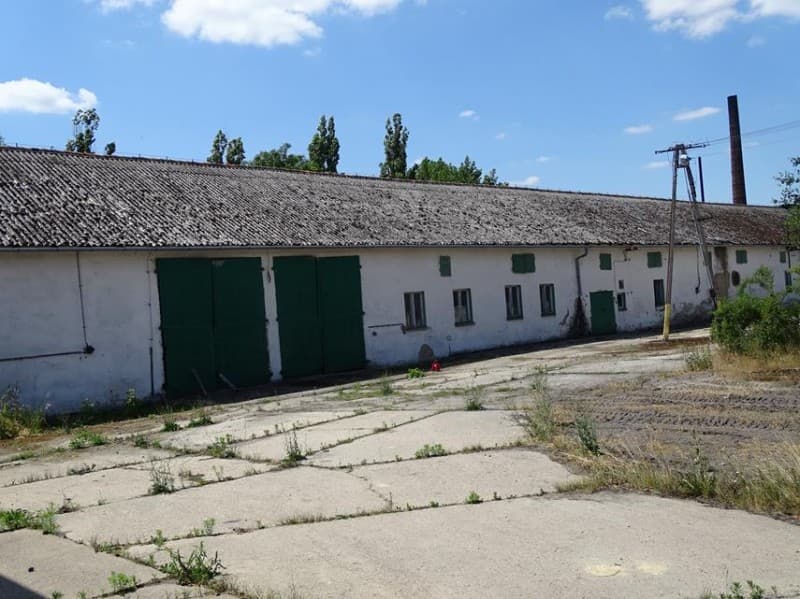 Zdjęcie 10