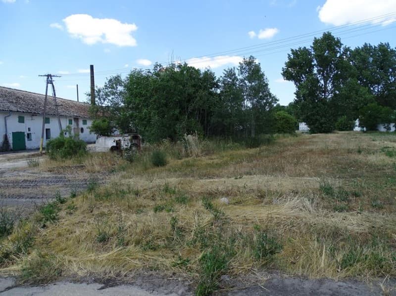 Zdjęcie 13