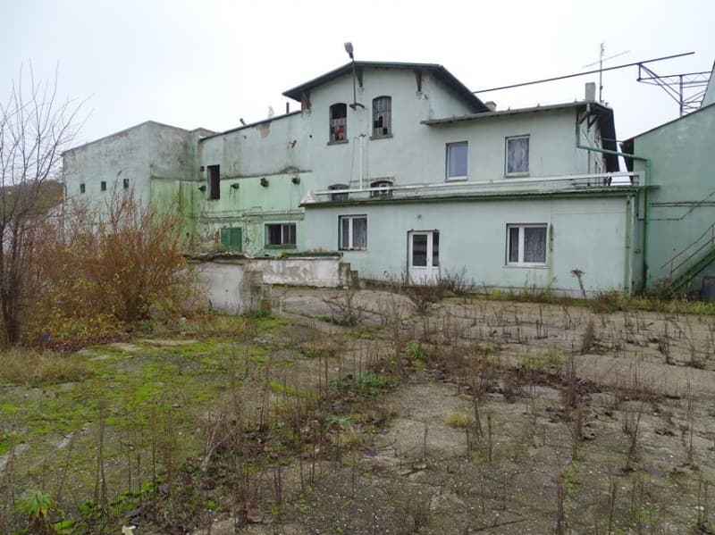 Zdjęcie 28