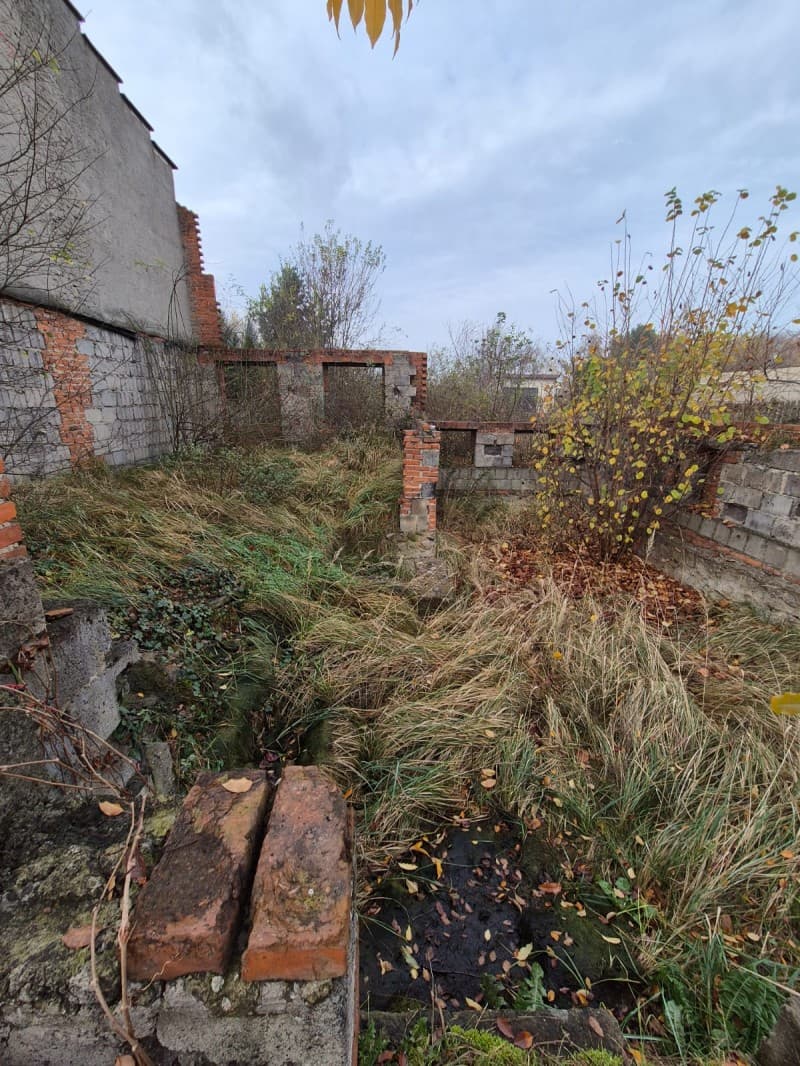 Zdjęcie 6