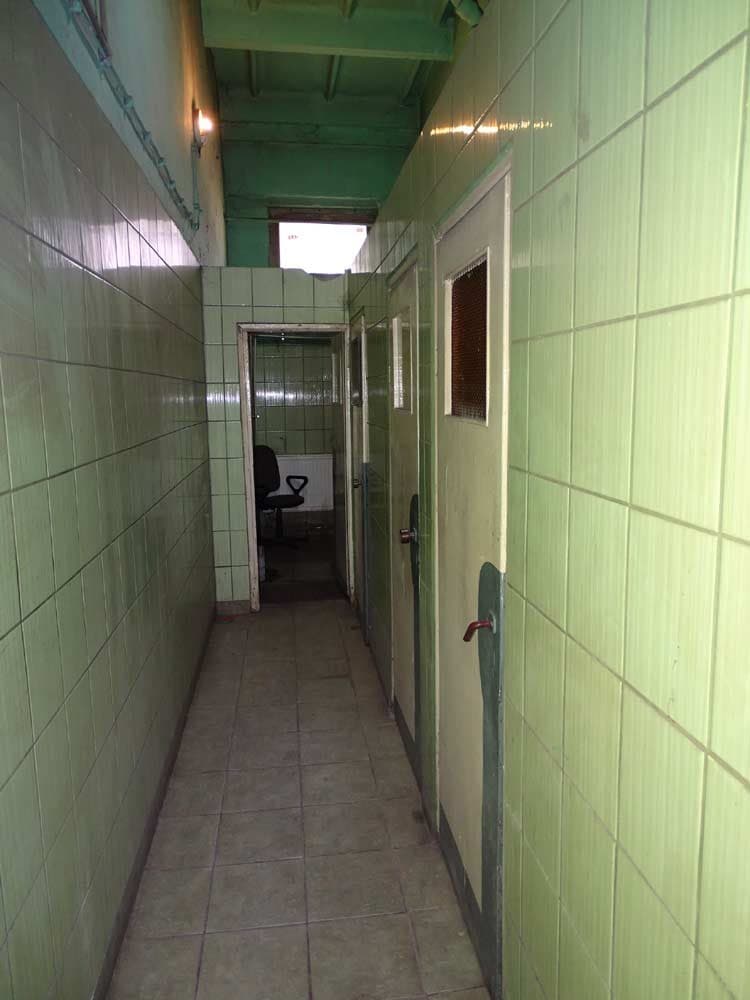 Zdjęcie 24