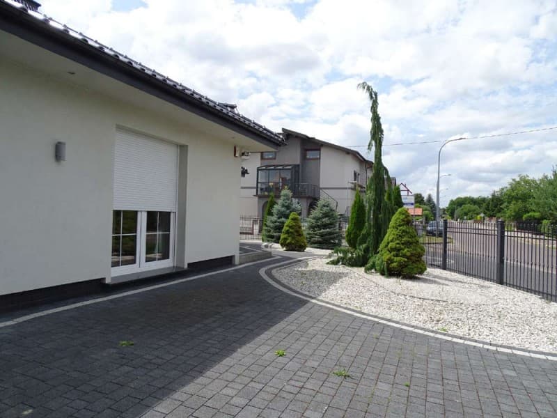 Zdjęcie 12