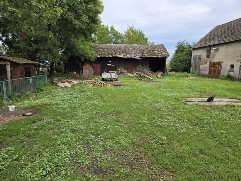 Zdjęcie 9