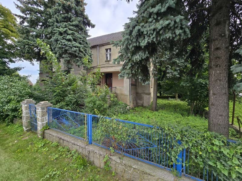 Zdjęcie 5