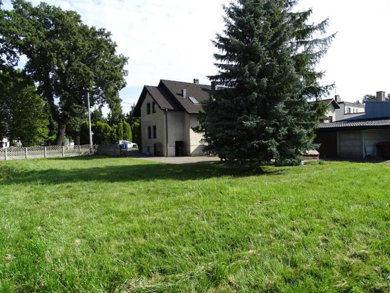 Zdjęcie 10