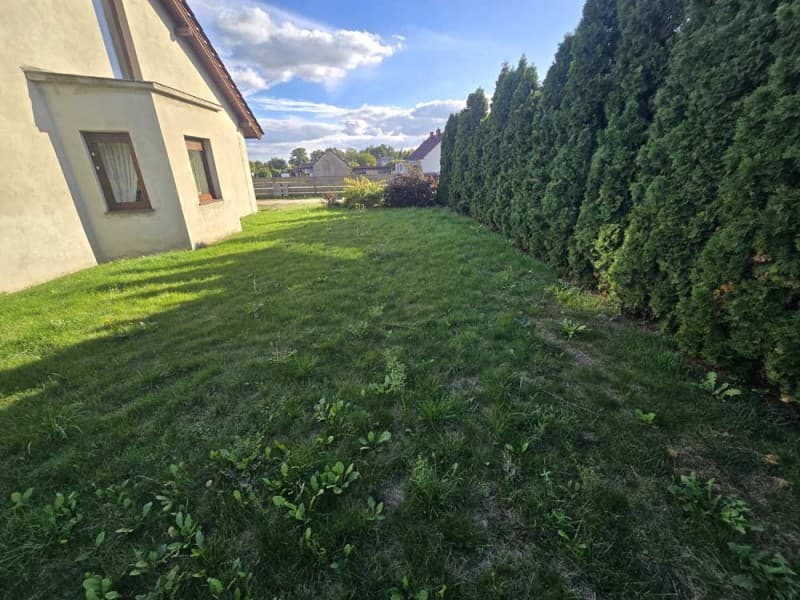 Zdjęcie 3