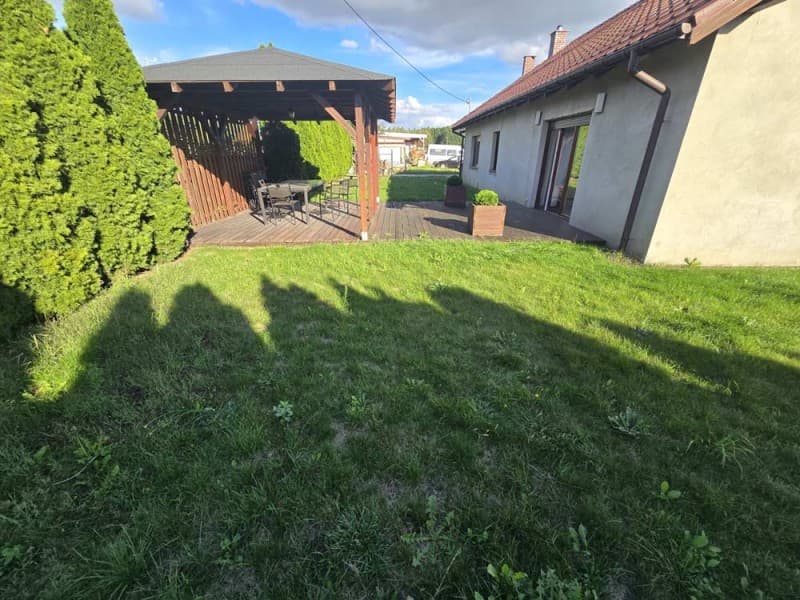 Zdjęcie 6