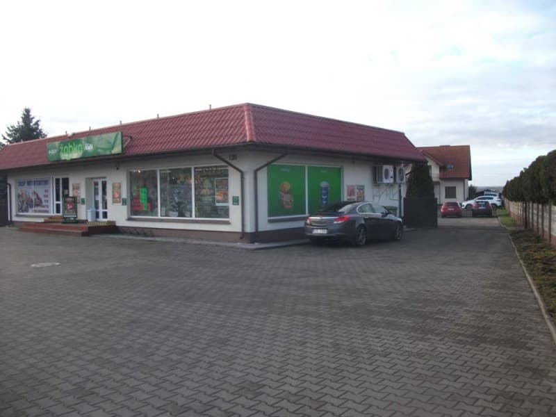 Zdjęcie 10