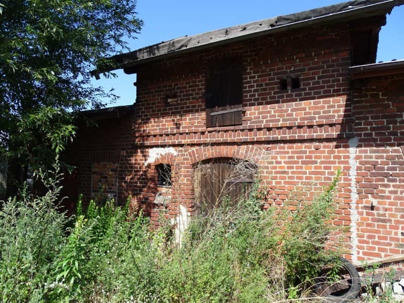 Zdjęcie 20