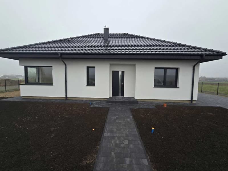 Zdjęcie 6
