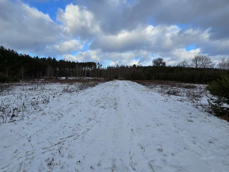Zdjęcie 39