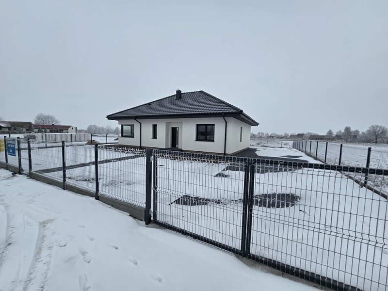 Zdjęcie 24