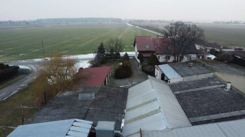 Zdjęcie 3