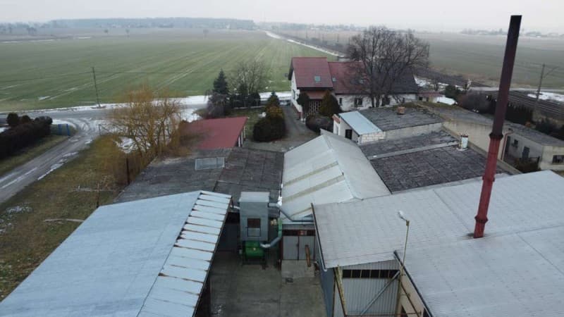 Zdjęcie 5