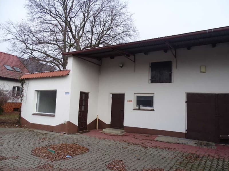 Zdjęcie 10