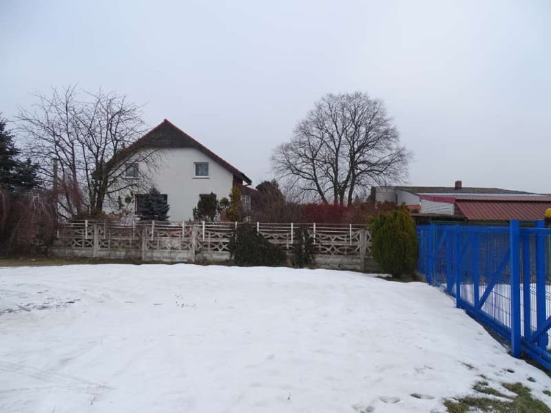 Zdjęcie 8
