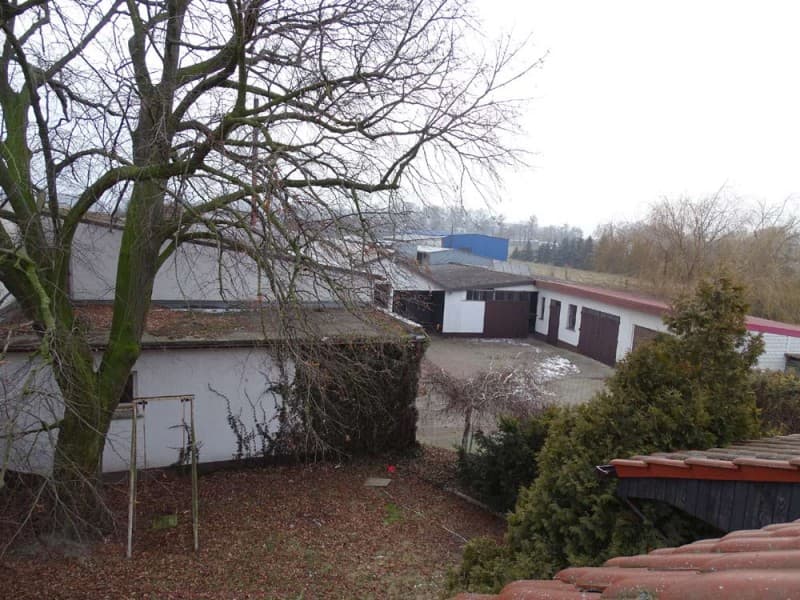 Zdjęcie 25