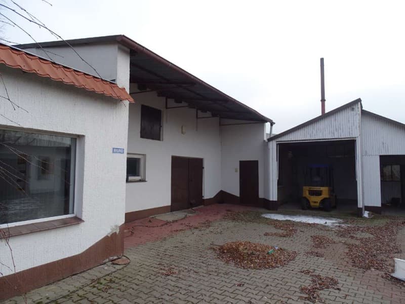 Zdjęcie 31