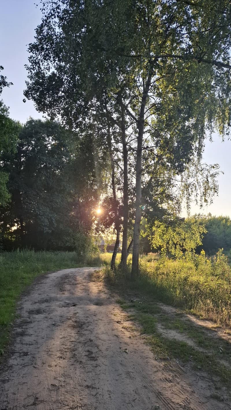 Zdjęcie 23