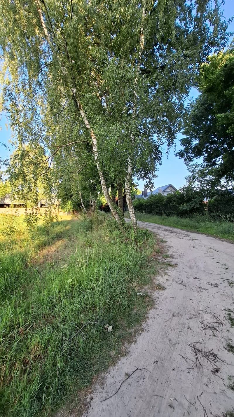 Zdjęcie 31