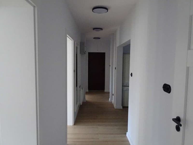 Zdjęcie 11