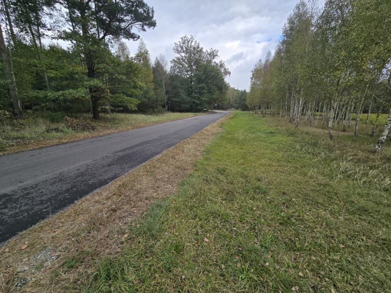 Zdjęcie 5