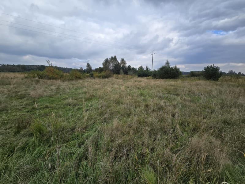 Zdjęcie 9