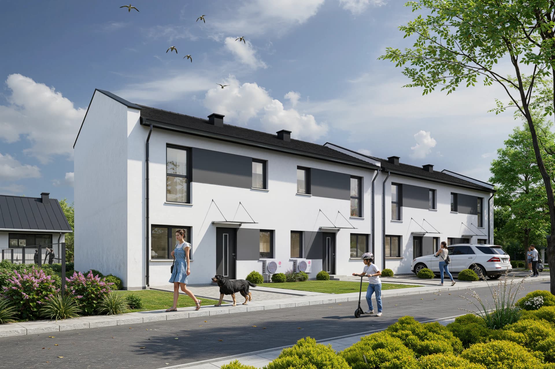 Zdjęcie 15