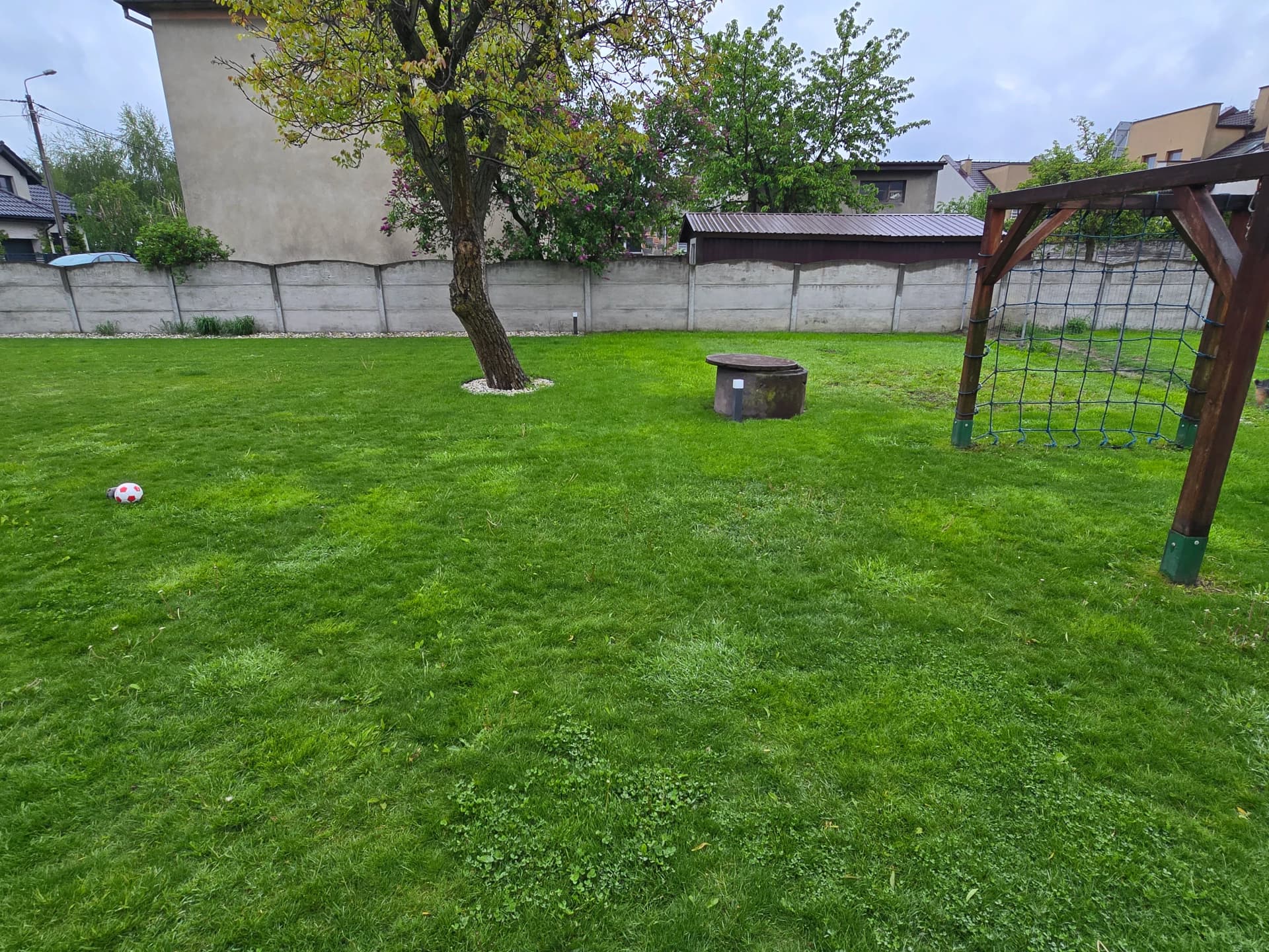 Zdjęcie 9