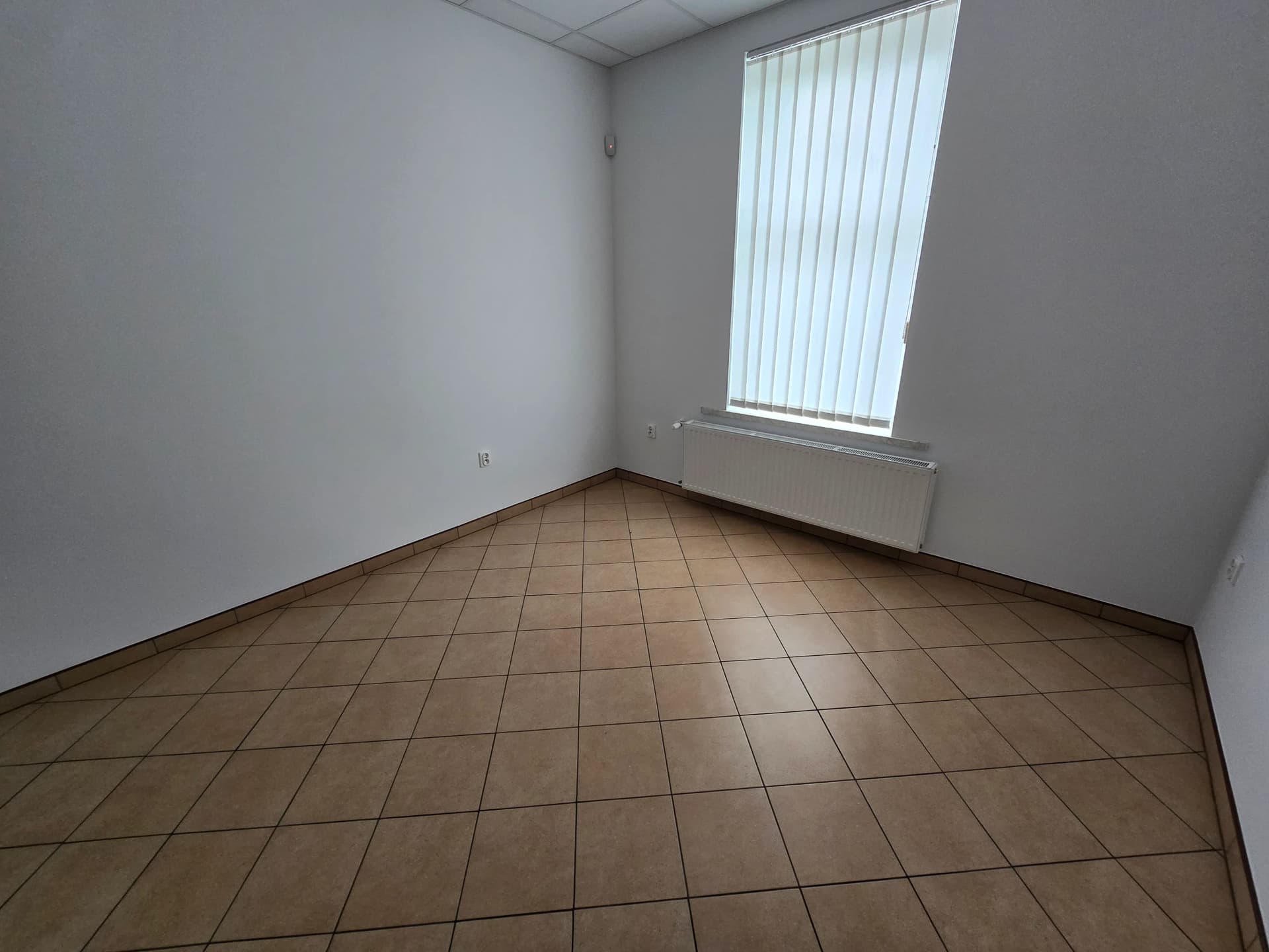Zdjęcie 4