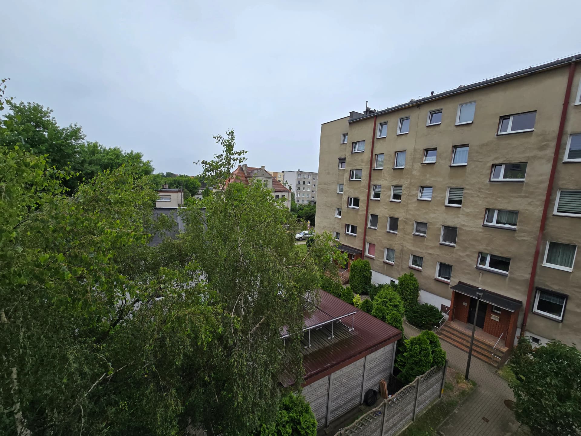 Zdjęcie 11