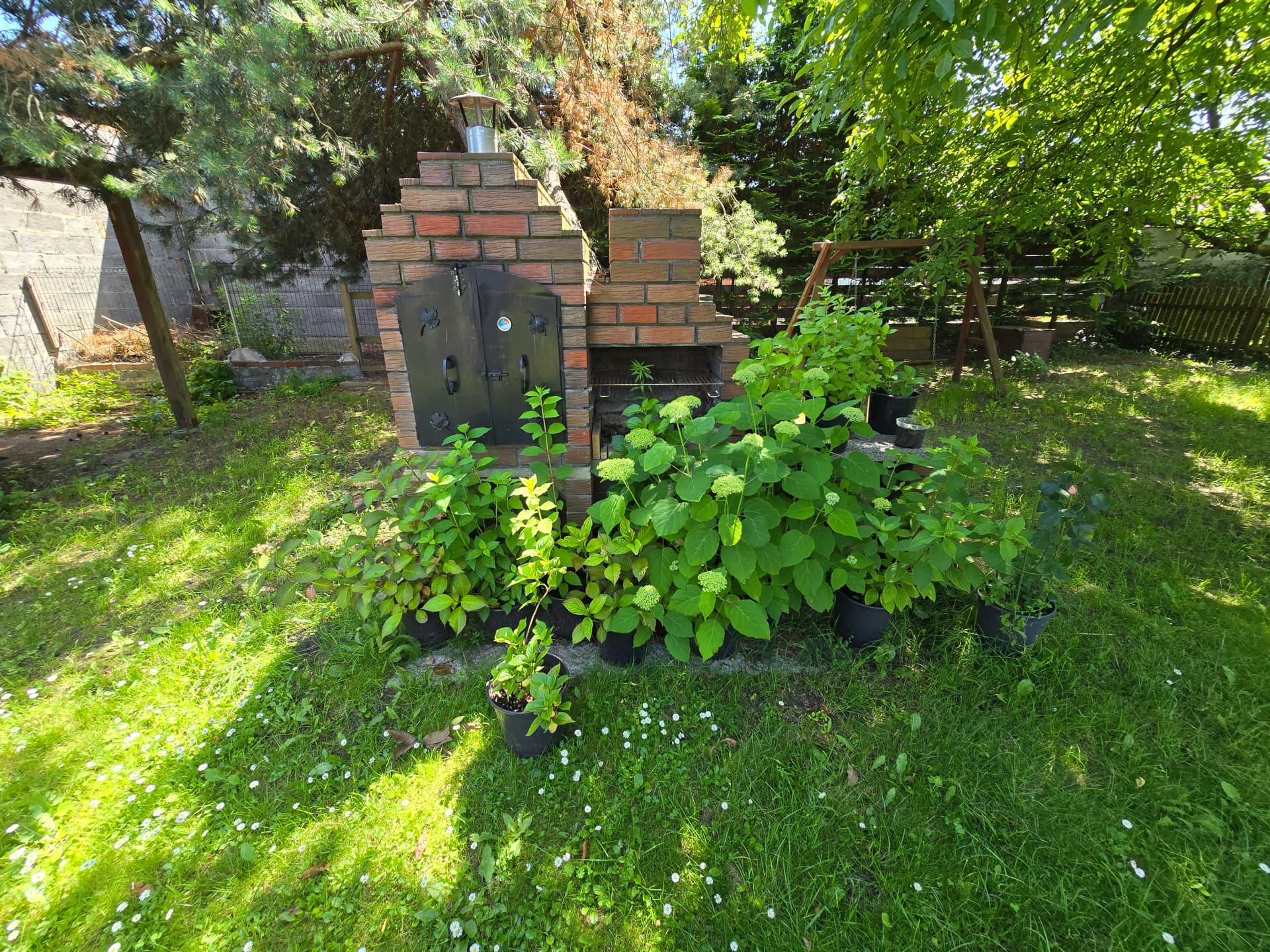 Zdjęcie 10