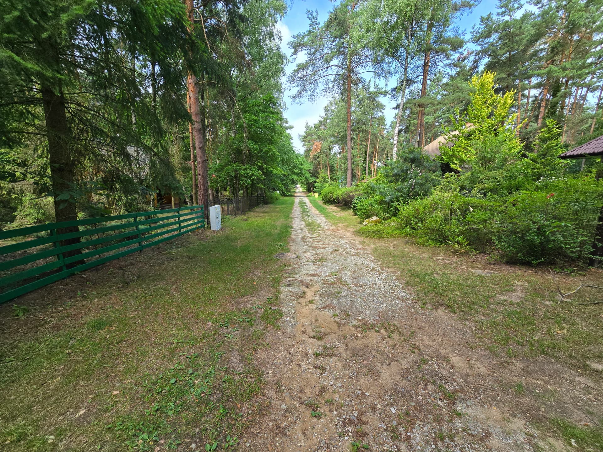 Zdjęcie 58