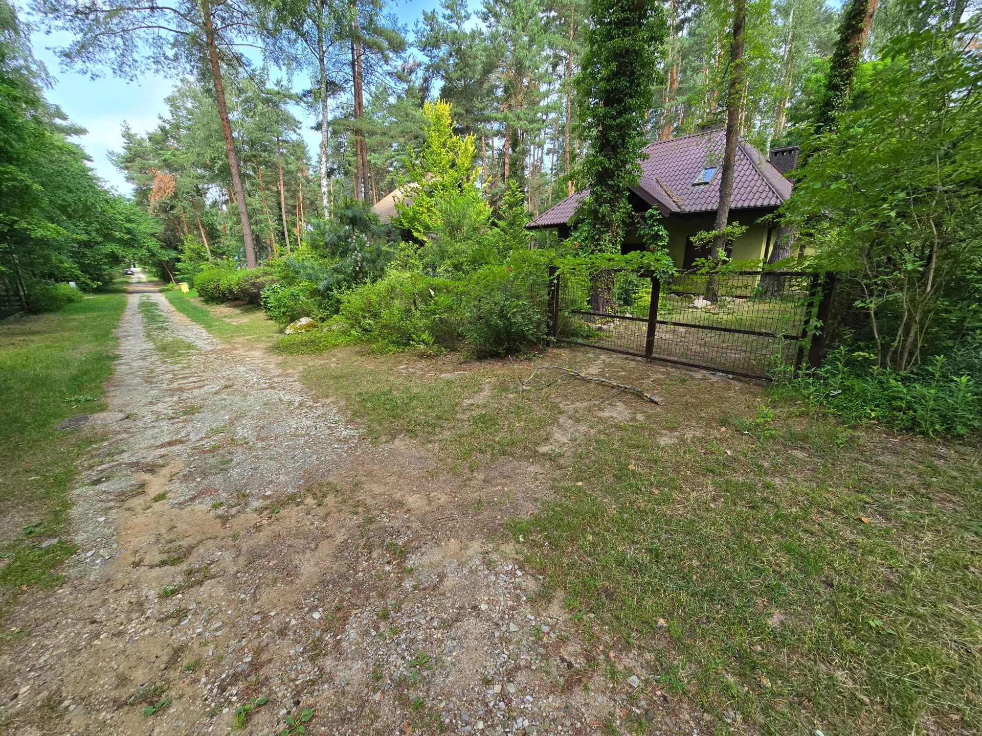 Zdjęcie 35
