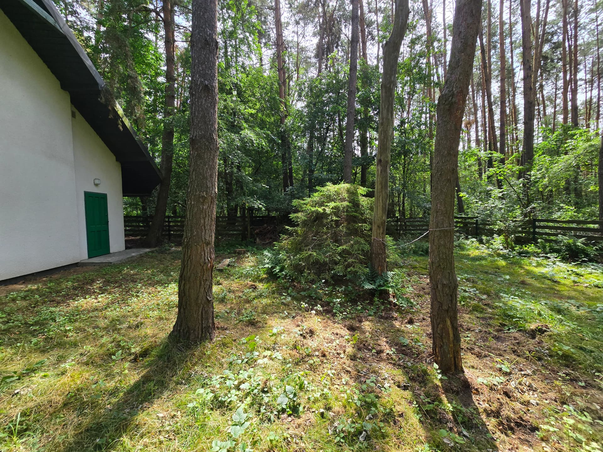 Zdjęcie 34