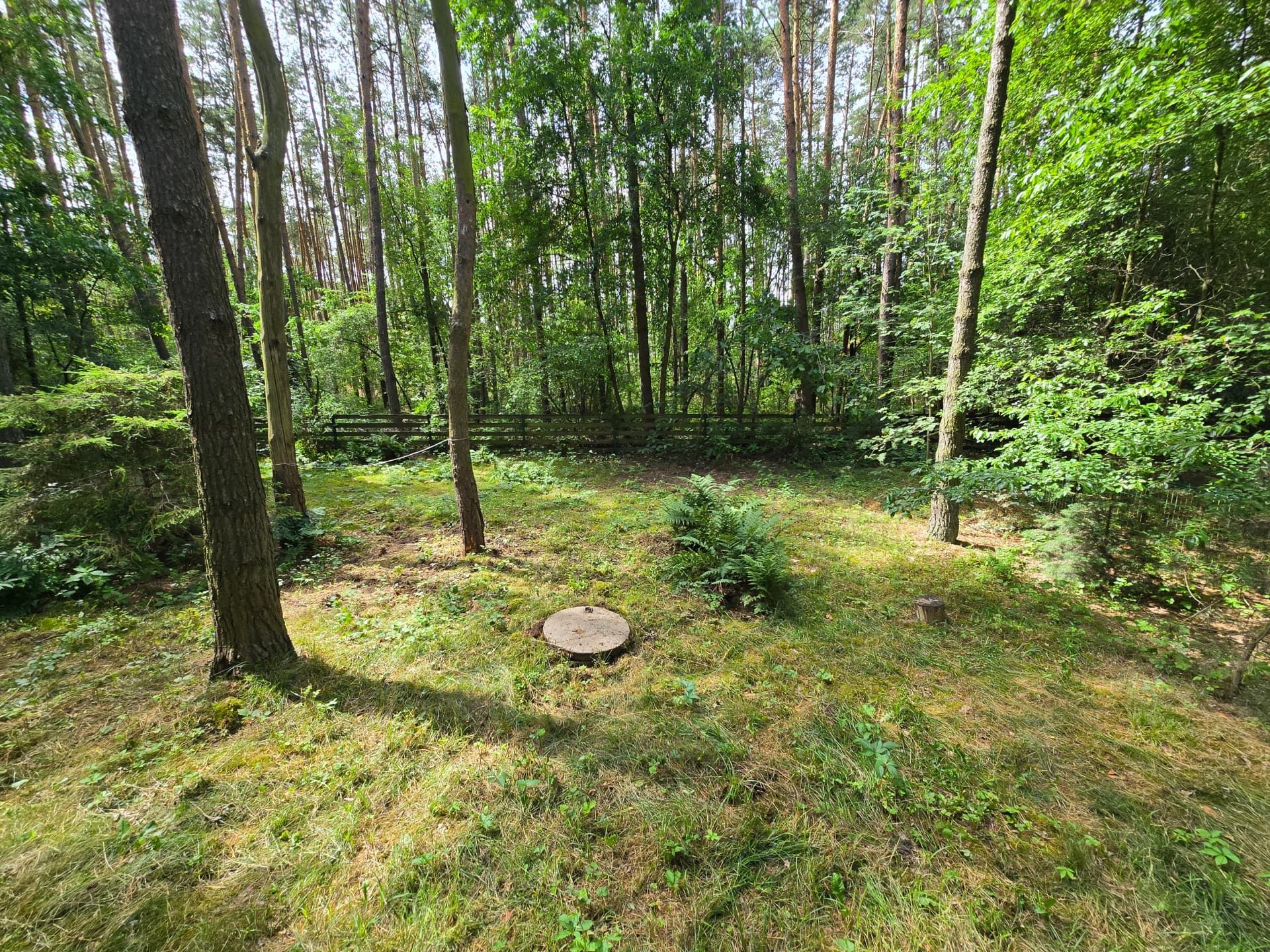 Zdjęcie 40