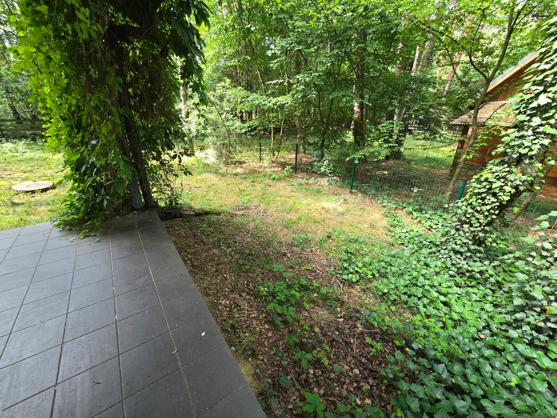 Zdjęcie 42