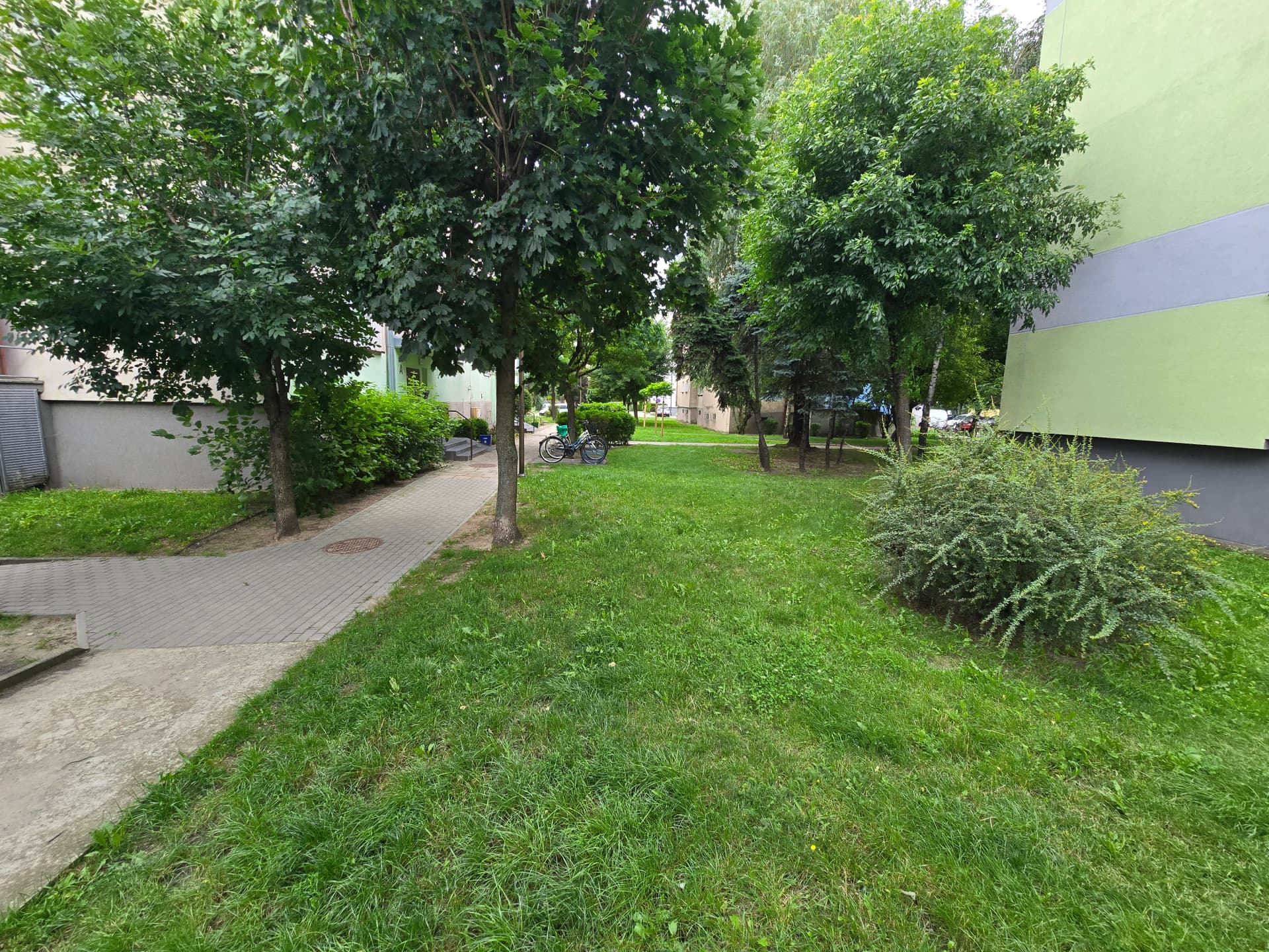 Zdjęcie 16