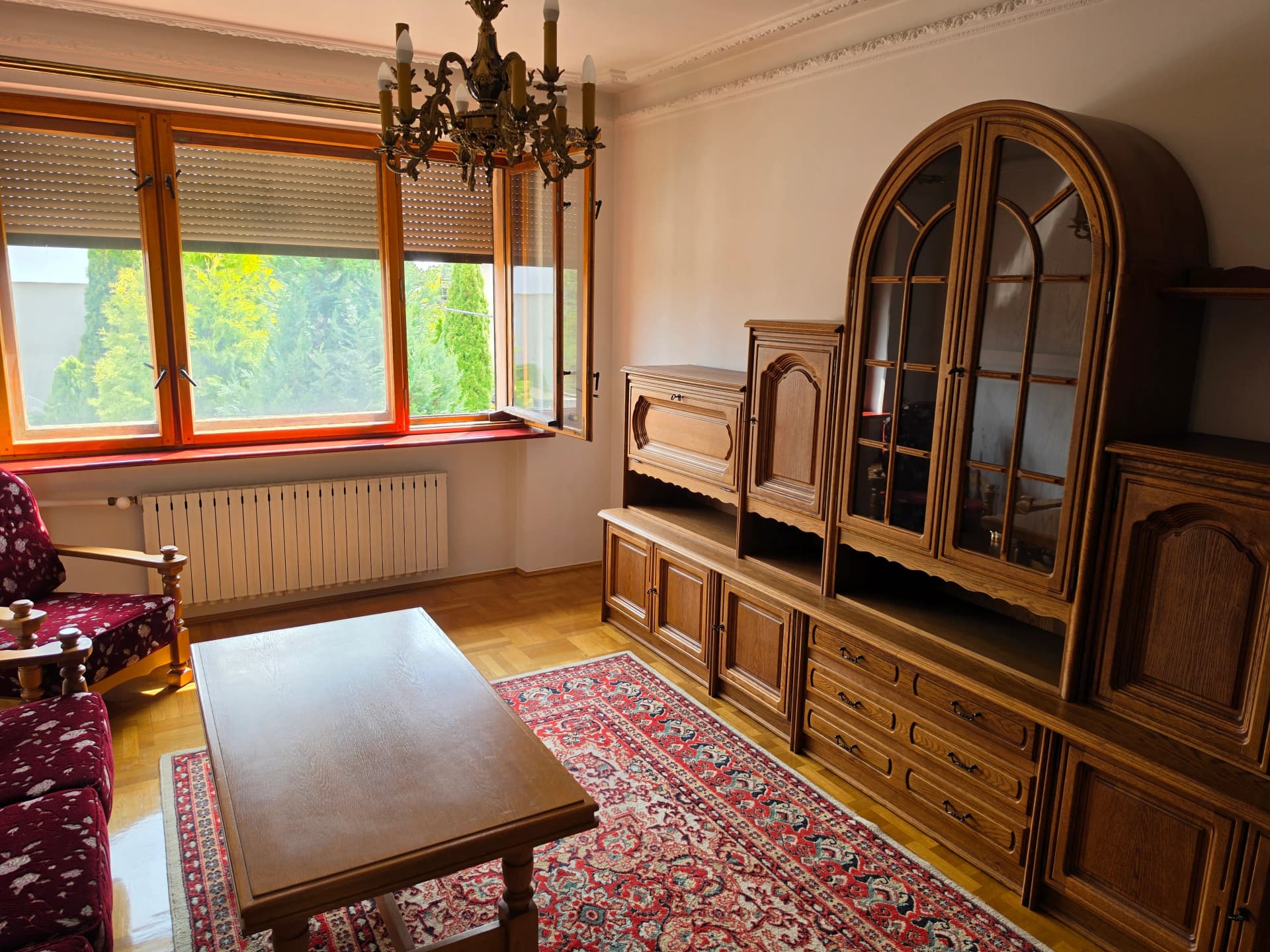 Zdjęcie 12