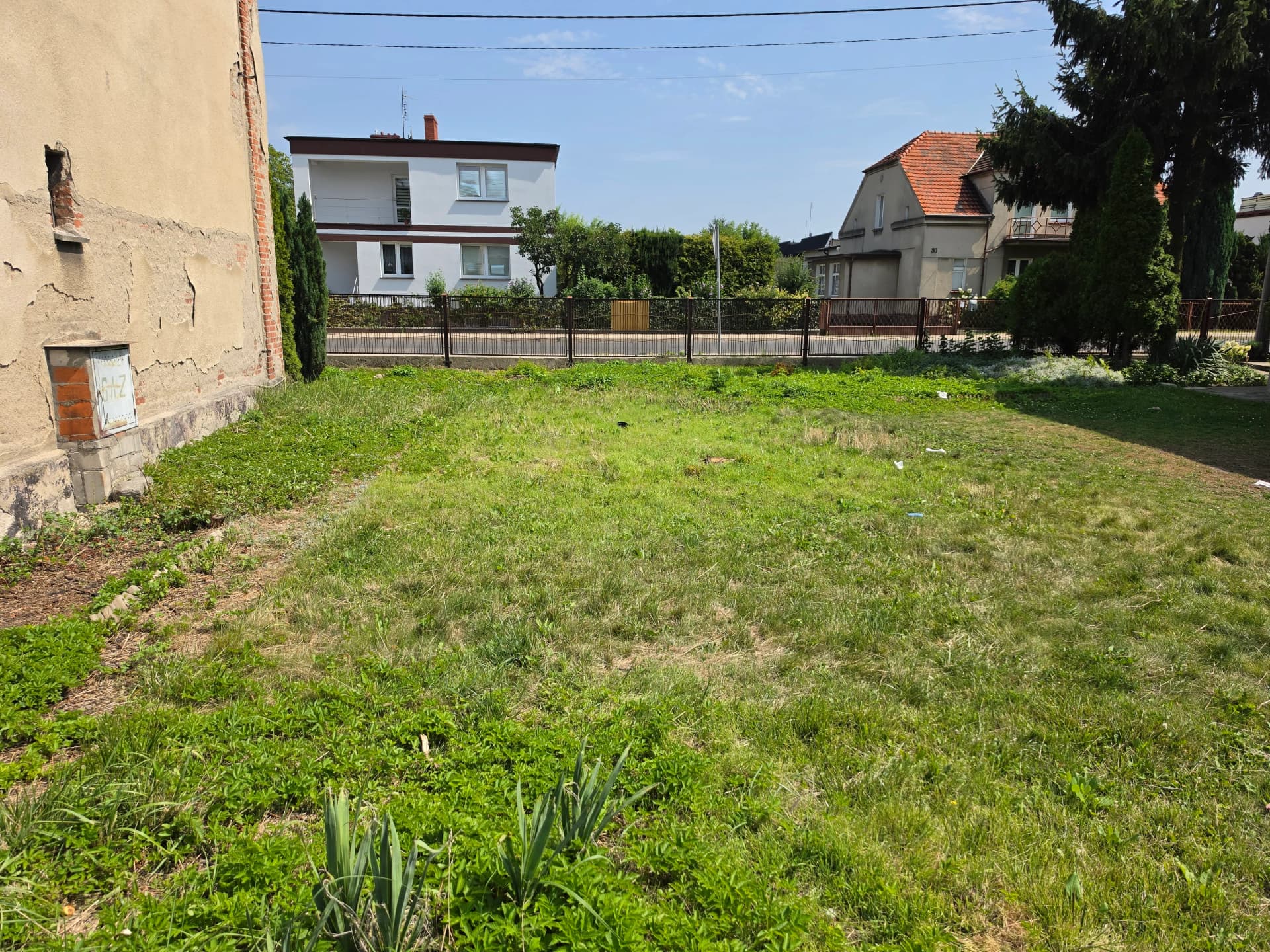Zdjęcie 3