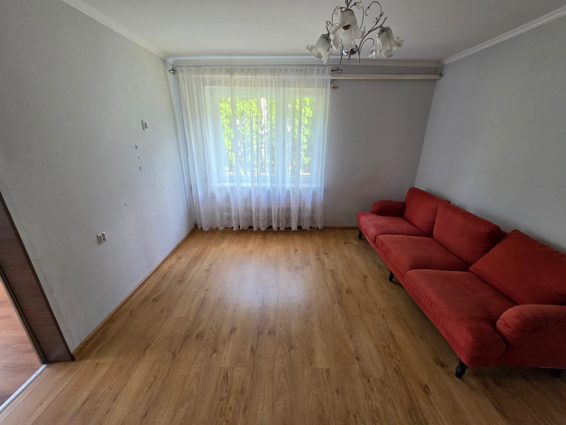 Zdjęcie 24