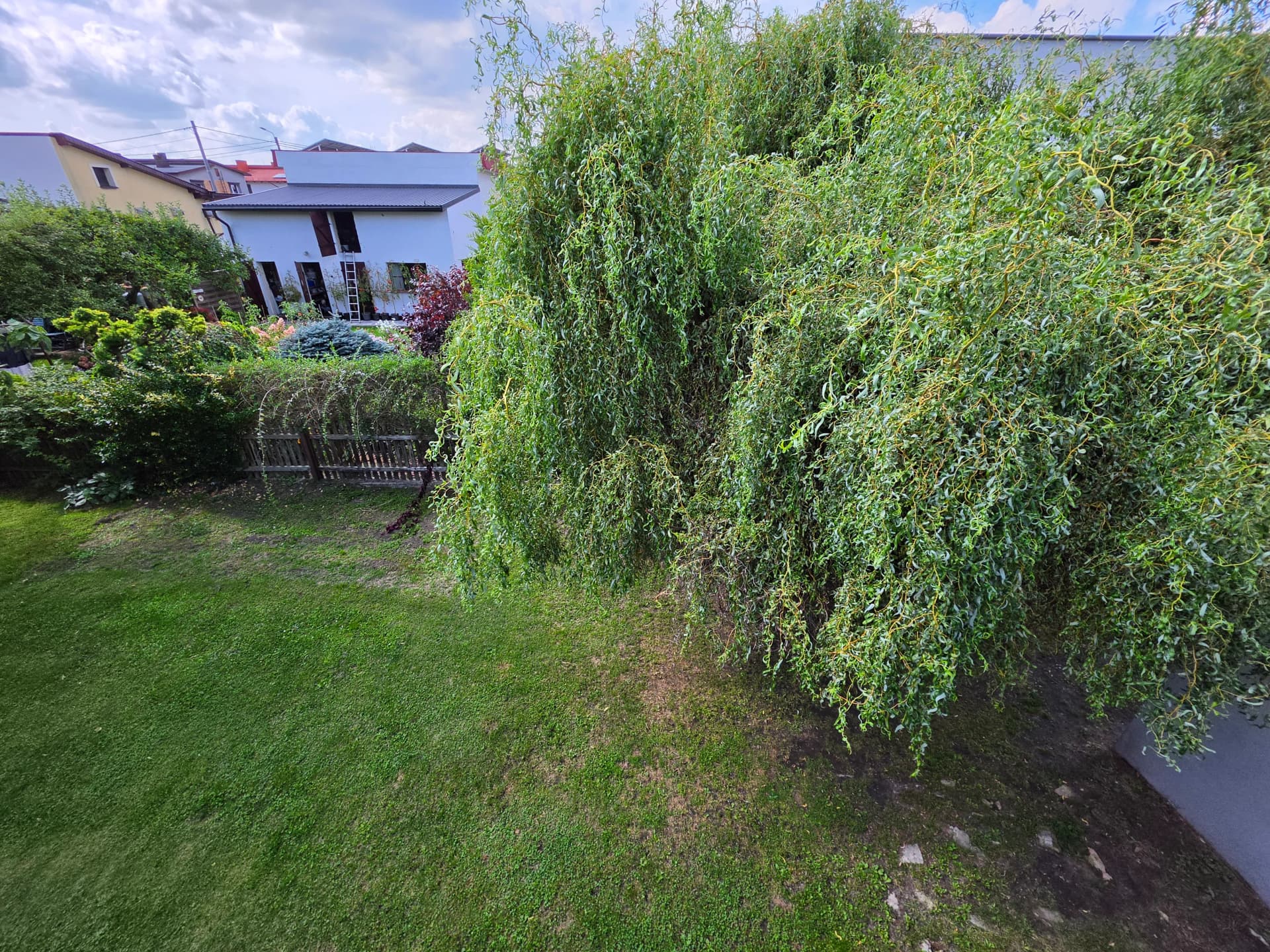 Zdjęcie 38